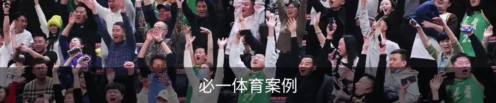 必一体育案例