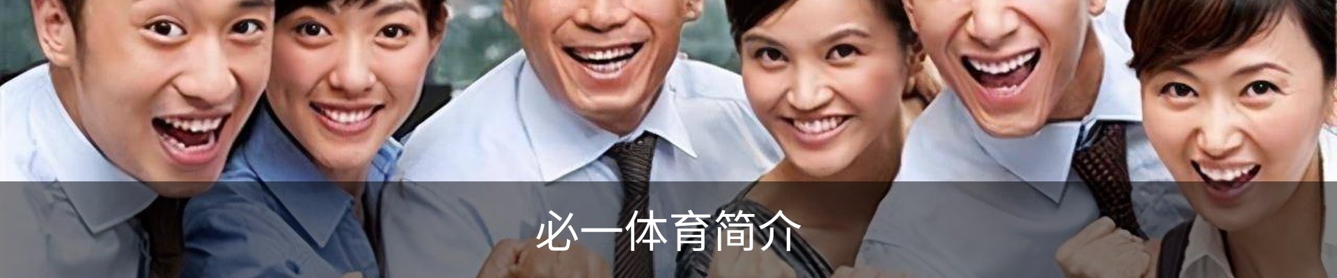 必一体育简介